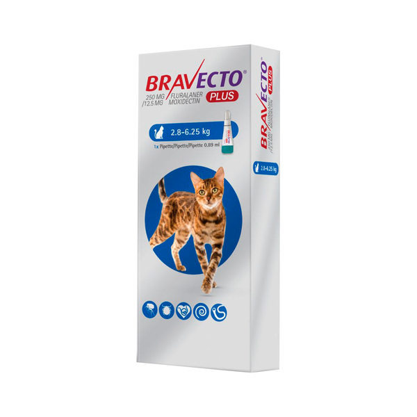 Bravecto Plus pipeta para gatos 2.8 - 6.25 kg